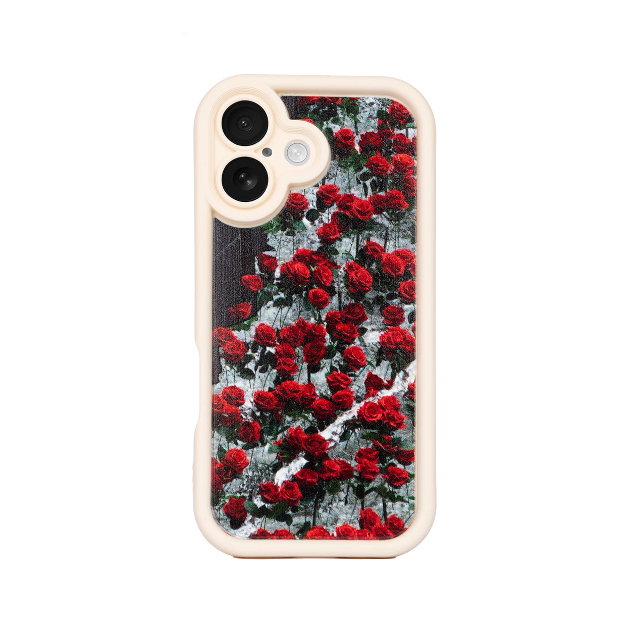 Cherry Bloom