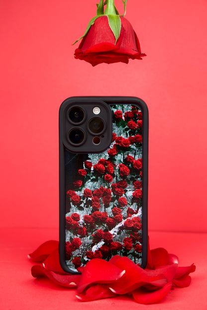 Cherry Bloom