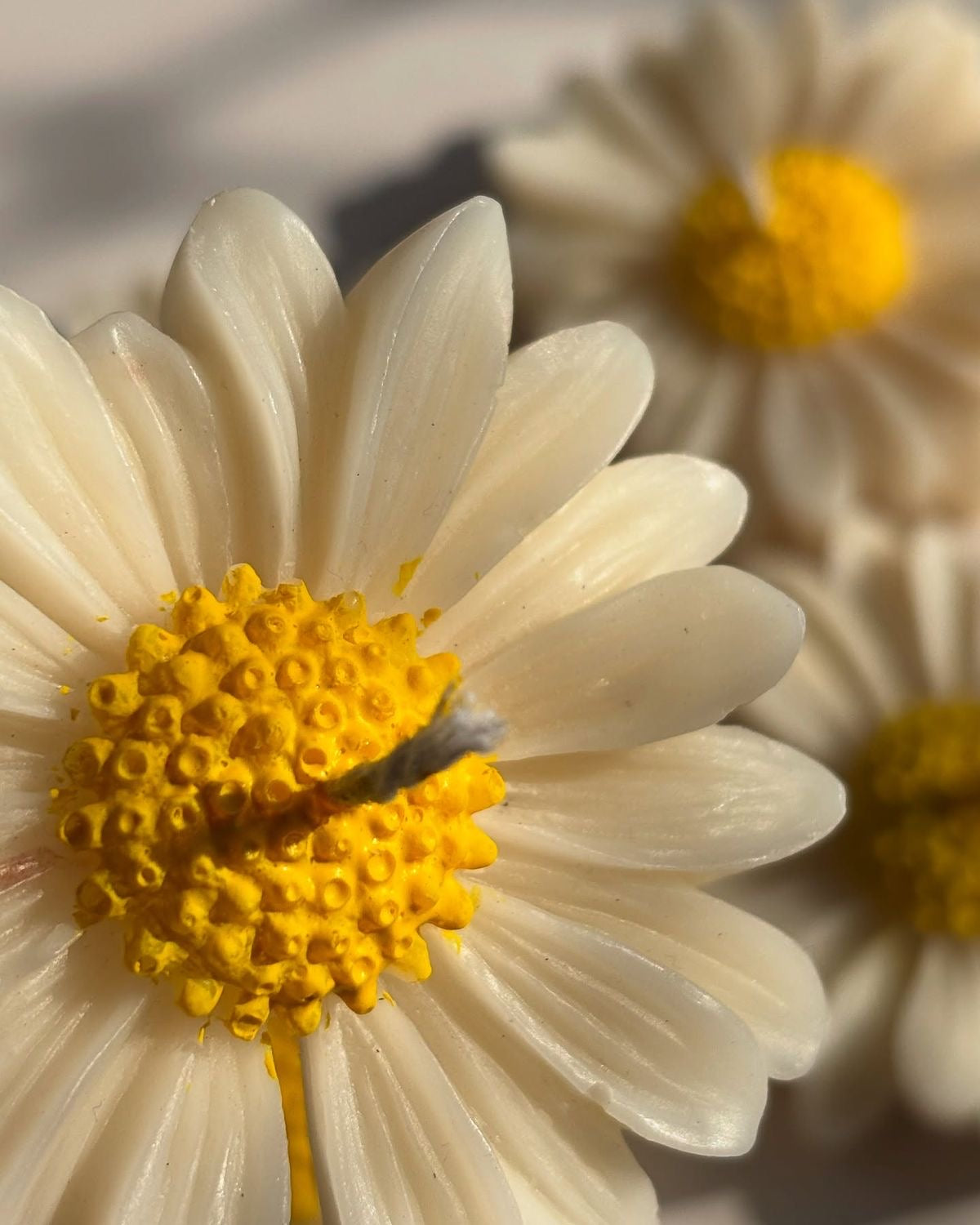 Daisy Flower Candle – Handmade Floral Candle