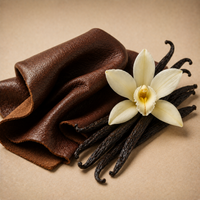 Leather, Vanilla